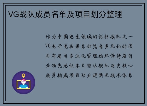 VG战队成员名单及项目划分整理