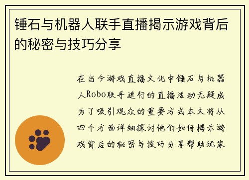 锤石与机器人联手直播揭示游戏背后的秘密与技巧分享