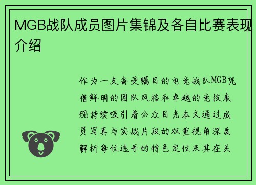 MGB战队成员图片集锦及各自比赛表现介绍